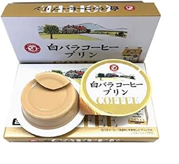 Amazon.co.jp: 山陰限定 鳥取県限定 宝製菓 白バラコーヒープリン